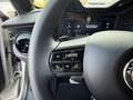 Alfa Romeo Junior Ibrida Q4 1.2 MHEV eAWD e-DCT6 Grau - thumbnail 14