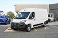 Fiat Ducato 35 2.2 Mjt3 140cv PM-TM FURGONE White - thumbnail 1