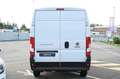 Fiat Ducato 35 2.2 Mjt3 140cv PM-TM FURGONE White - thumbnail 6