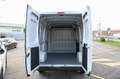 Fiat Ducato 35 2.2 Mjt3 140cv PM-TM FURGONE White - thumbnail 7