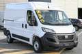 Fiat Ducato 35 2.2 Mjt3 140cv PM-TM FURGONE White - thumbnail 3