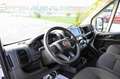 Fiat Ducato 35 2.2 Mjt3 140cv PM-TM FURGONE White - thumbnail 13