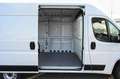 Fiat Ducato 35 2.2 Mjt3 140cv PM-TM FURGONE White - thumbnail 9