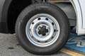 Fiat Ducato 35 2.2 Mjt3 140cv PM-TM FURGONE White - thumbnail 12