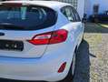 Ford Fiesta Trend Weiß - thumbnail 3