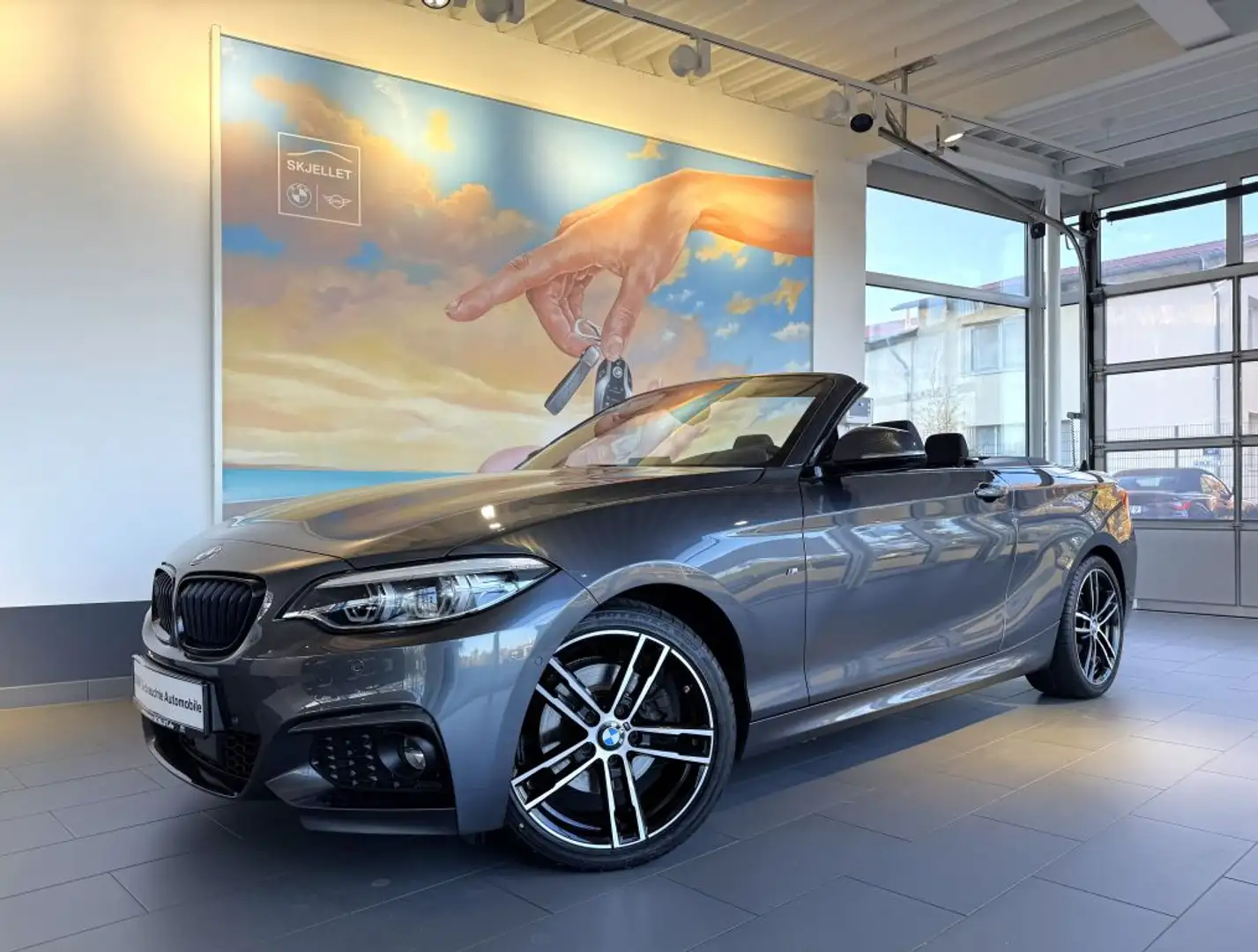 BMW 220 i Cabrio Aut M SPORT KAM+ACC+KOMF+HARM+DAB+AL Gris - 1