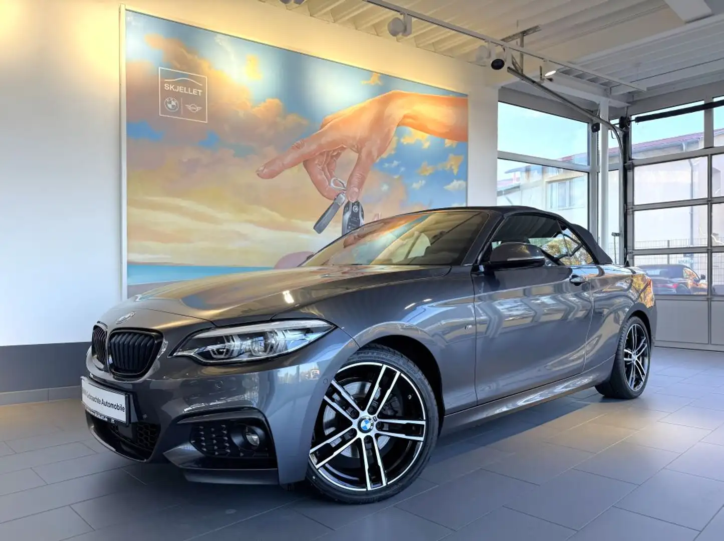 BMW 220 i Cabrio Aut M SPORT KAM+ACC+KOMF+HARM+DAB+AL Gris - 2