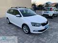 Skoda Fabia Fabia 1.4 TDI 75 CV Ambition Blanc - thumbnail 3