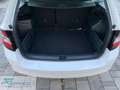 Skoda Fabia Fabia 1.4 TDI 75 CV Ambition Blanc - thumbnail 16