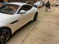 Jaguar F-Type Coupe 2.0 i4 R-Dynamic rwd 300cv auto Bianco - thumbnail 5