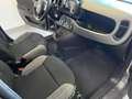 Fiat Panda Panda III 2021 Cross 1.0 firefly hybrid (Red) s Gris - thumbnail 9