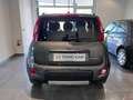 Fiat Panda Panda III 2021 Cross 1.0 firefly hybrid (Red) s Gris - thumbnail 5