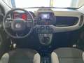 Fiat Panda Panda III 2021 Cross 1.0 firefly hybrid (Red) s Gris - thumbnail 11