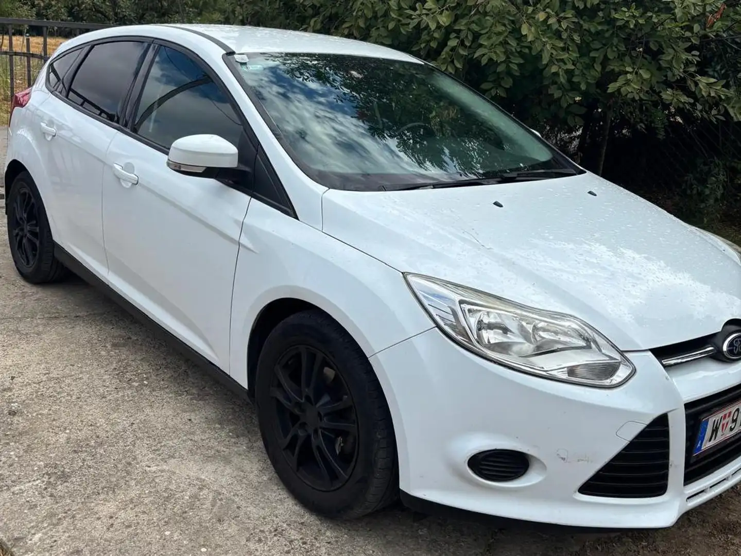 Ford Focus Weiß - 1