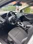 Ford Focus Weiß - thumbnail 5