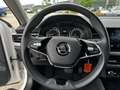 Skoda Kamiq 1.0 TSI Clever DSG Klima Einparkhilfe Kurvenlicht Weiß - thumbnail 9