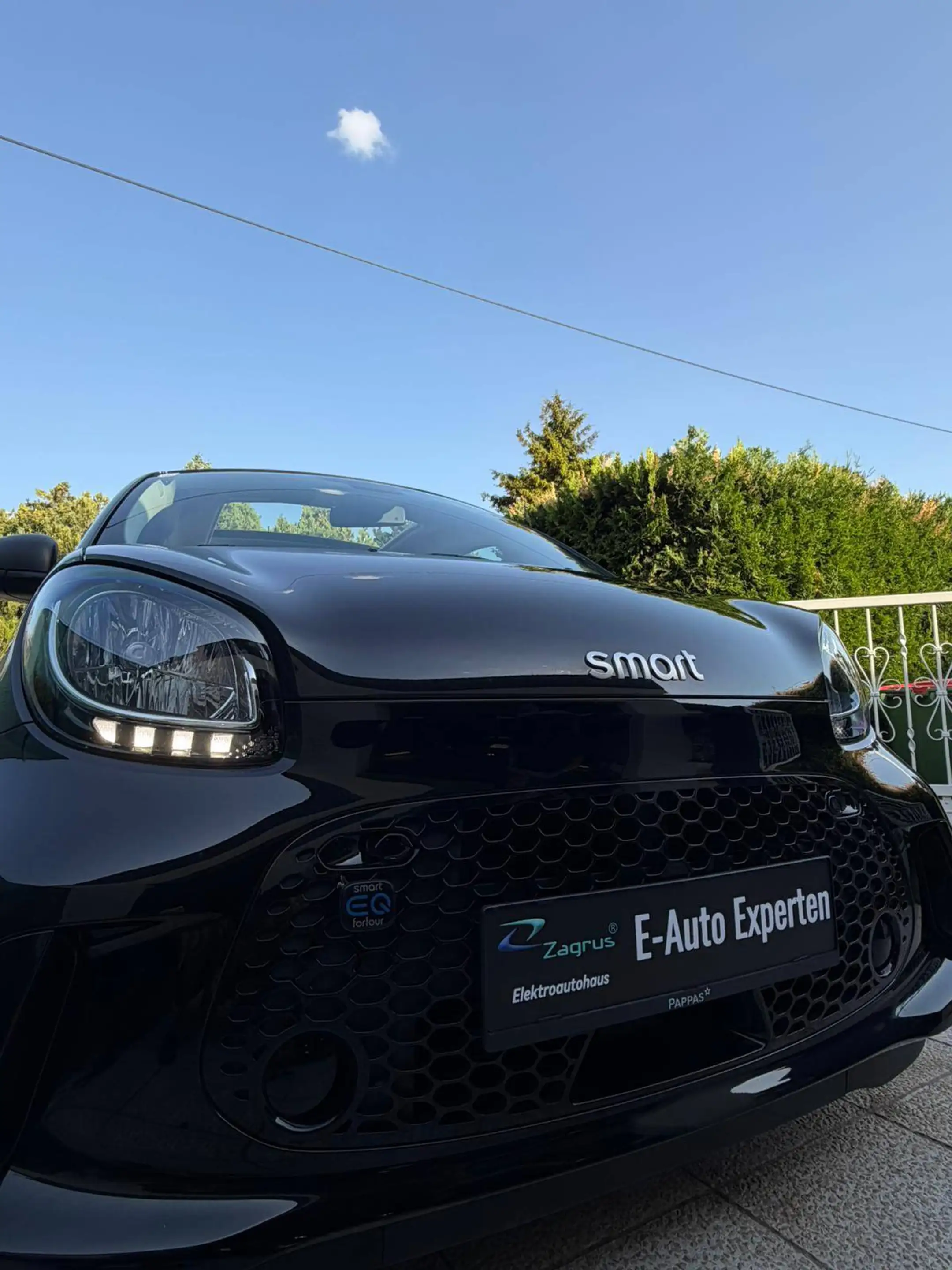 smart forFour Forfour EQ-Faltdach / SOH 98 % — photo 13