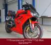 Triumph Daytona 675 Carbon Edtion Rojo - thumbnail 9