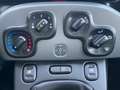 Fiat Panda 1.0 Gse City Cross Hybrid Groen - thumbnail 16