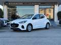 Mazda 2 Hybrid 1.5 VVT e-CVT Full Hybrid Electric Prime-L Grigio - thumbnail 2