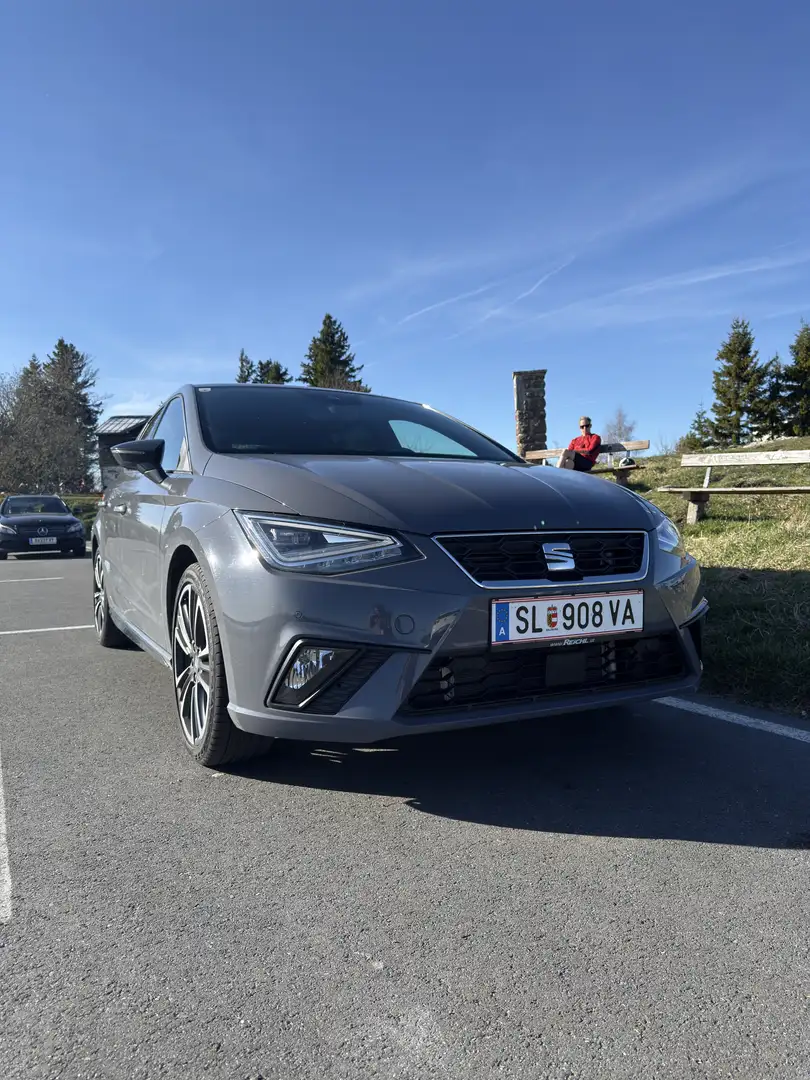 SEAT Ibiza Fr Anniversary Grau - 2