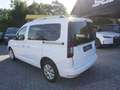 Ford Tourneo Connect 2,0 EcoBlue L1 Titanium *SITZHZG* Weiß - thumbnail 5
