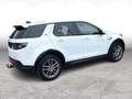 Land Rover Discovery Sport 2.0d D200*AWD*TOPP EXTRAS*1.HAND*GARANTIE*33 Weiß - thumbnail 7