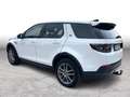 Land Rover Discovery Sport 2.0d D200*AWD*TOPP EXTRAS*1.HAND*GARANTIE*33 Weiß - thumbnail 5