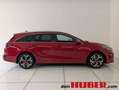 Kia XCeed Ceed SW 1,6CRDi Gold Rot - thumbnail 3