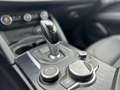 Alfa Romeo Stelvio 2.2 Turbodiesel 210 CV AT8 Q4 B-Tech Сірий - thumbnail 25