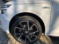 Skoda Kamiq 1.0 TSI Monte Carlo Weiß - thumbnail 11