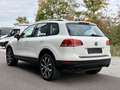 Volkswagen Touareg V6 TDI BMT |2.HAND|PANO|DLA| Weiß - thumbnail 10