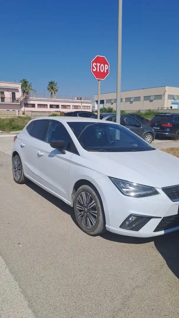 SEAT Ibiza 1.6 tdi Xcellence 95cv - 2