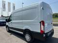 Ford Transit 330 Van 2.0TDCi MHEV 170CV L2 H2 Trend Wit - thumbnail 5