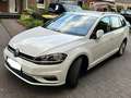 Volkswagen Golf Variant Golf Variant 1.0 TSI (BlueMotion Technology) Comfo - thumbnail 6