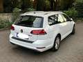 Volkswagen Golf Variant Golf Variant 1.0 TSI (BlueMotion Technology) Comfo - thumbnail 7