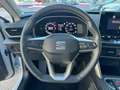 SEAT Leon 1.5 eTSI S&S Style 25ª Aniversario DSG-7 115 Blanco - thumbnail 12