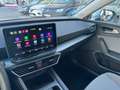 SEAT Leon 1.5 eTSI S&S Style 25ª Aniversario DSG-7 115 Blanco - thumbnail 23