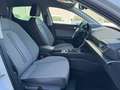 SEAT Leon 1.5 eTSI S&S Style 25ª Aniversario DSG-7 115 Blanco - thumbnail 9