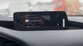 Mazda 3 2025 2.5 e-SKYACTIV G MHEV 140CV 6AT FWD HOMURA Rojo - thumbnail 17