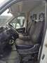 Peugeot Boxer 333 2200 BLUEHDI FURGONE 140CV L3H2 CLIMA ITALIA Alb - thumbnail 5