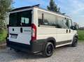 Fiat Ducato panorama Blanco - thumbnail 3