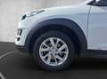 Hyundai TUCSON Advantage 1.6 Kam.+Navi+SHZ+2xKlima+LM Weiß - thumbnail 16
