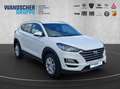 Hyundai TUCSON Advantage 1.6 Kam.+Navi+SHZ+2xKlima+LM Weiß - thumbnail 7
