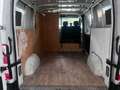 Renault Master III Kasten L1H1 Blanc - thumbnail 11