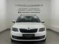 Skoda Octavia Combi 1,6 TDI Style PANO - XENON - SHZ Weiß - thumbnail 2