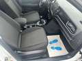 Volkswagen T-Roc 1.6 TDi SCR Style Weiß - thumbnail 10
