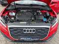 Audi Q2 35 TFSI Stronik Panorama LED VC Stdhzg Insp.n Rot - thumbnail 15