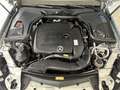 Mercedes-Benz E 200 E 200 Avantgarde/SHD/Kamera/LED/Navi/Sitzhzg. Silber - thumbnail 31