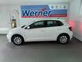 Volkswagen Polo Life 1.0 Sitzh Einparkh App-Navi Ganzjahresreifen Weiß - thumbnail 5
